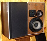 DYNAUDIO P-16